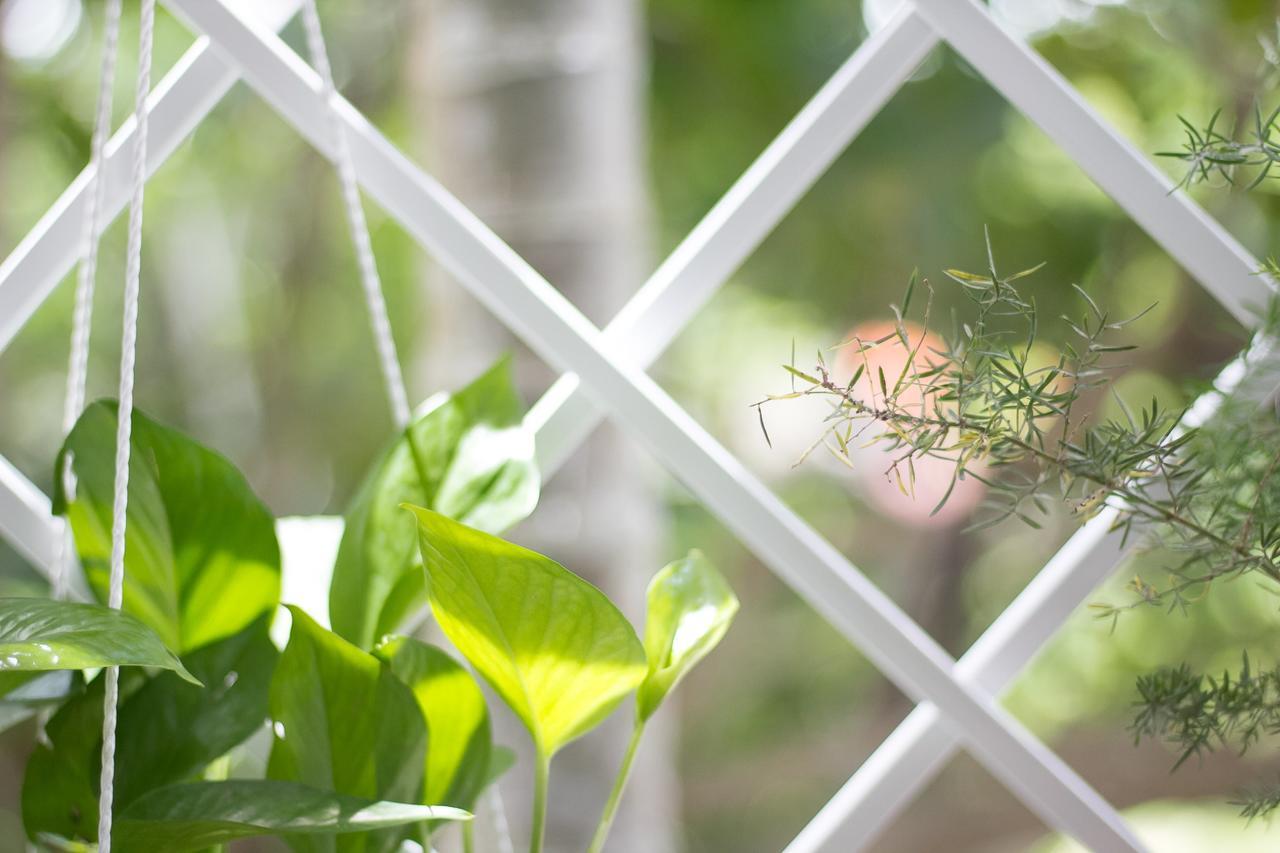 Bean Grass Homestay Hoi An Exterior photo